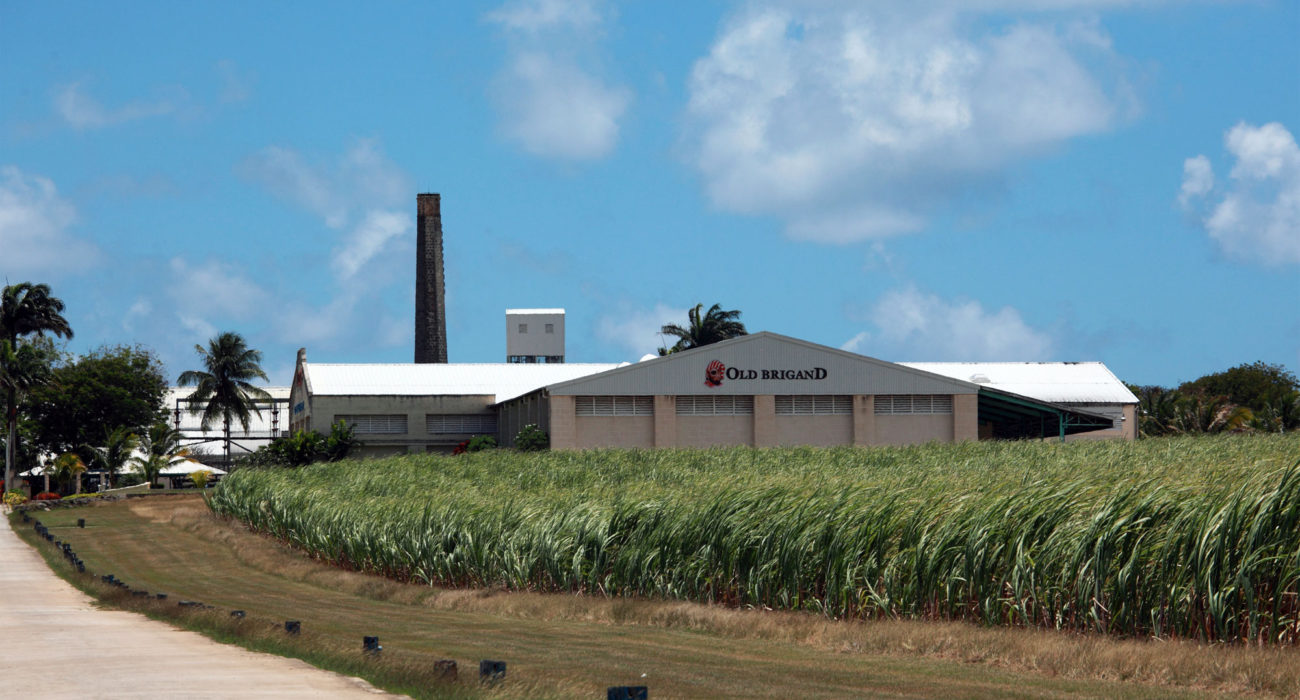 Foursquare distillery, emblazoned with the Old Brigand logo, Barbados.