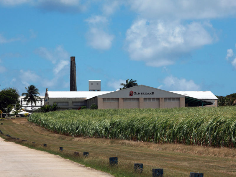 Foursquare distillery, emblazoned with the Old Brigand logo, Barbados.