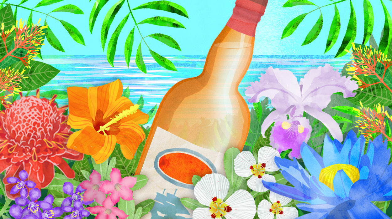Rum in the jungle, illustration by Maria Burns.