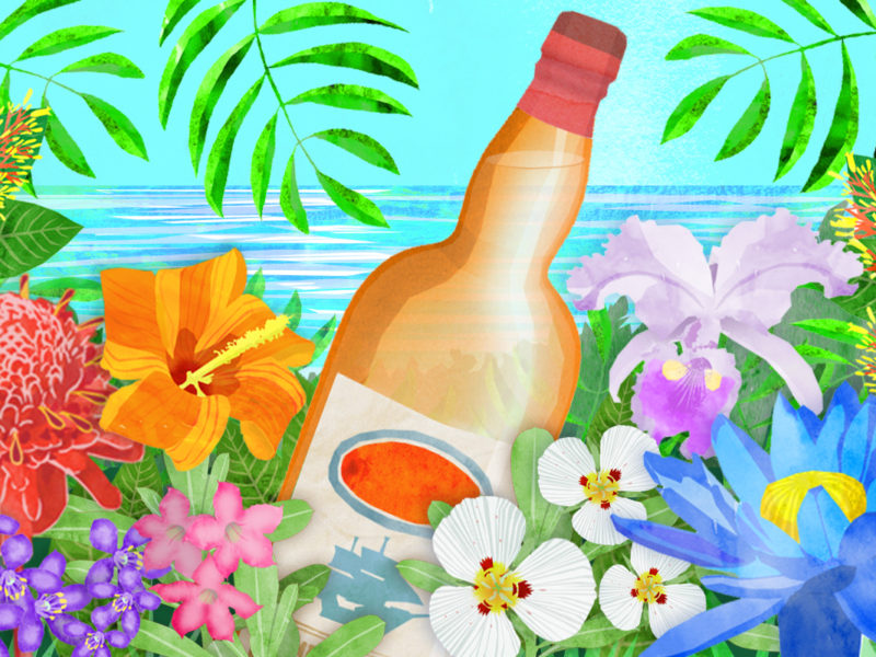 Rum in the jungle, illustration by Maria Burns.