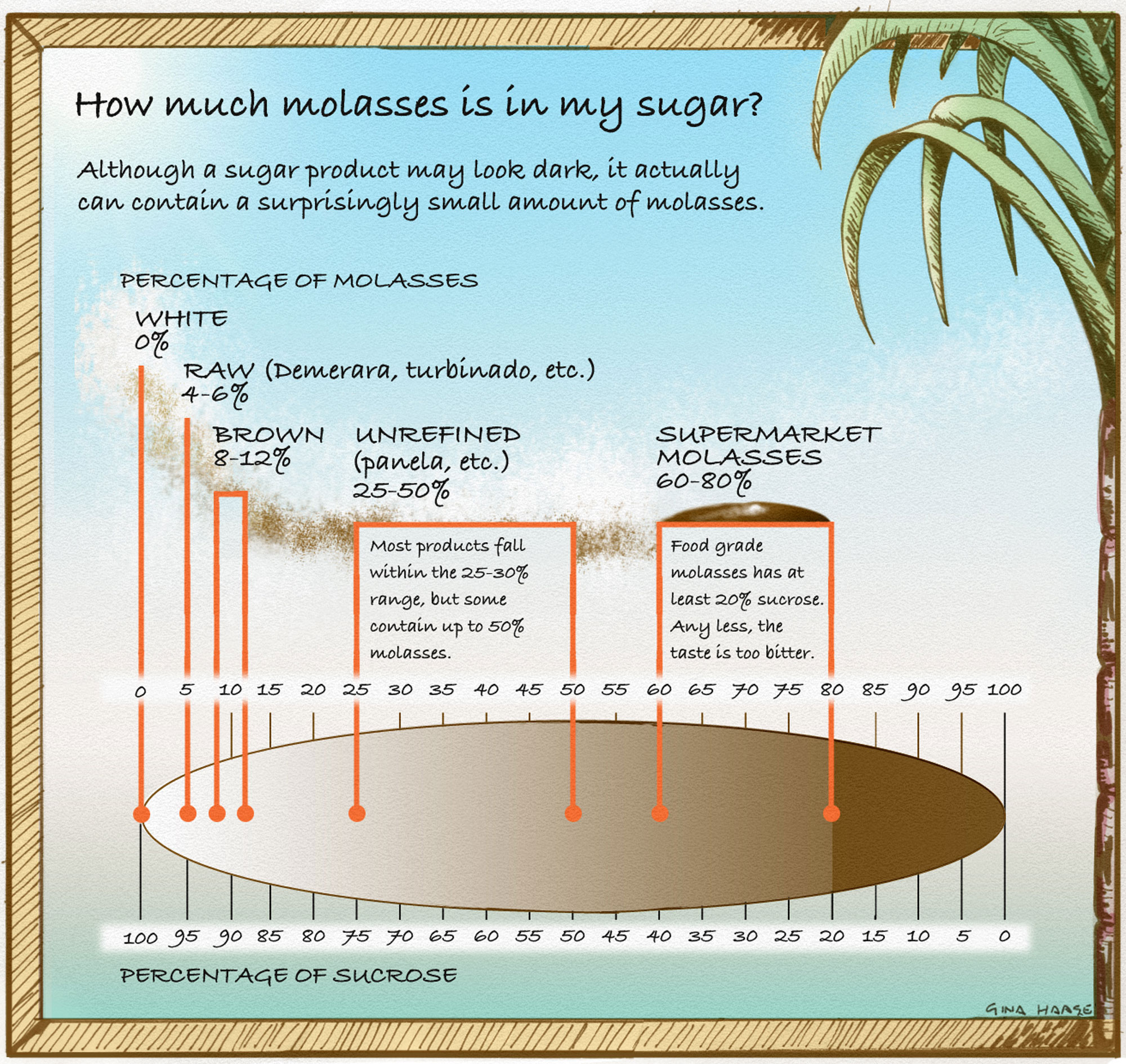 How much molasses is in my sugar? Illustration by Gina Haase.