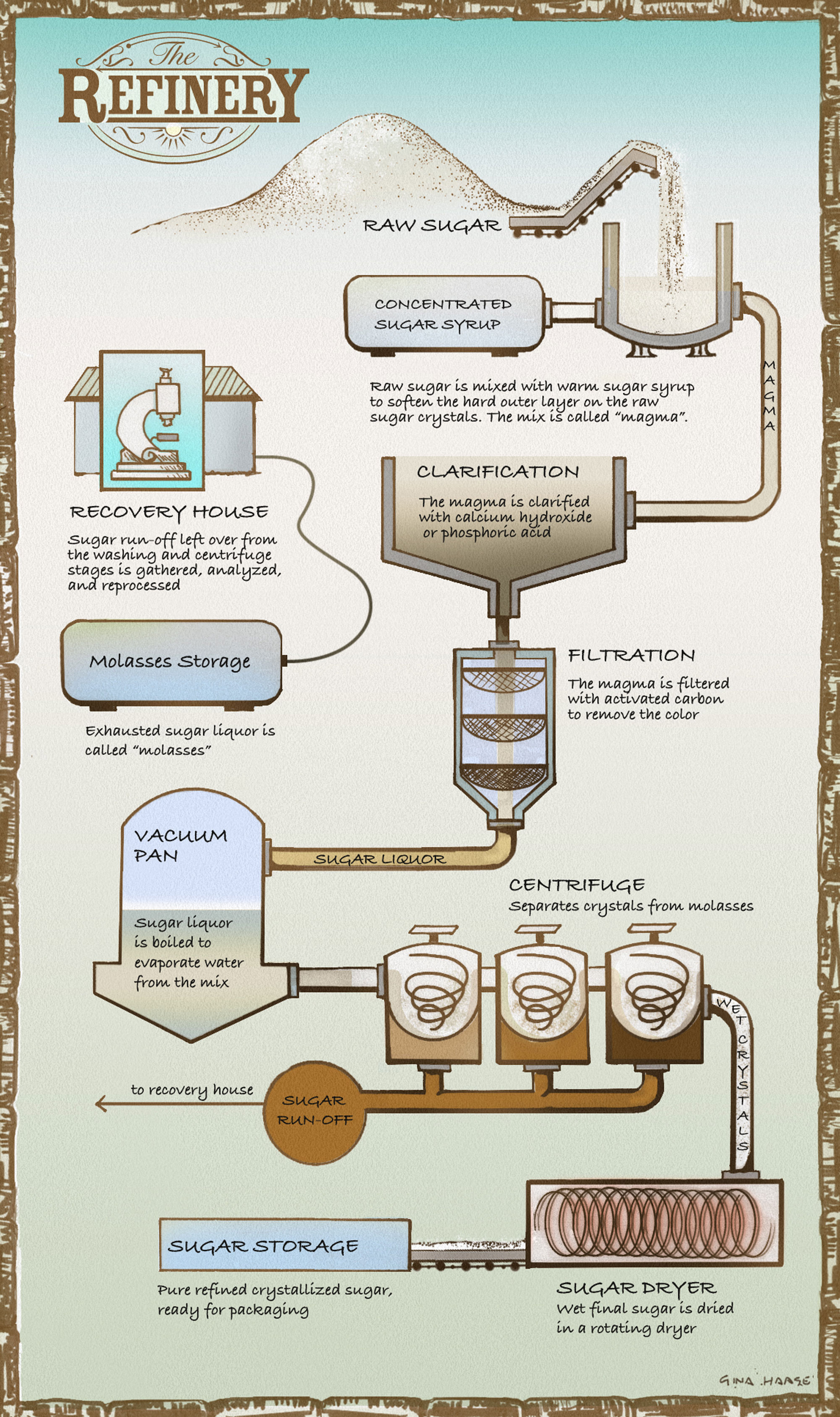 The process of refining sugar. Illustration by Gina Haase.